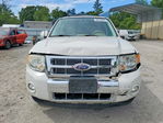 Ford Escape 2012