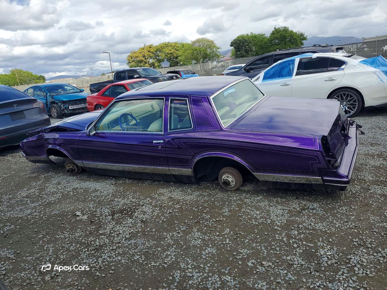 Chevrolet Monte Carlo 1981