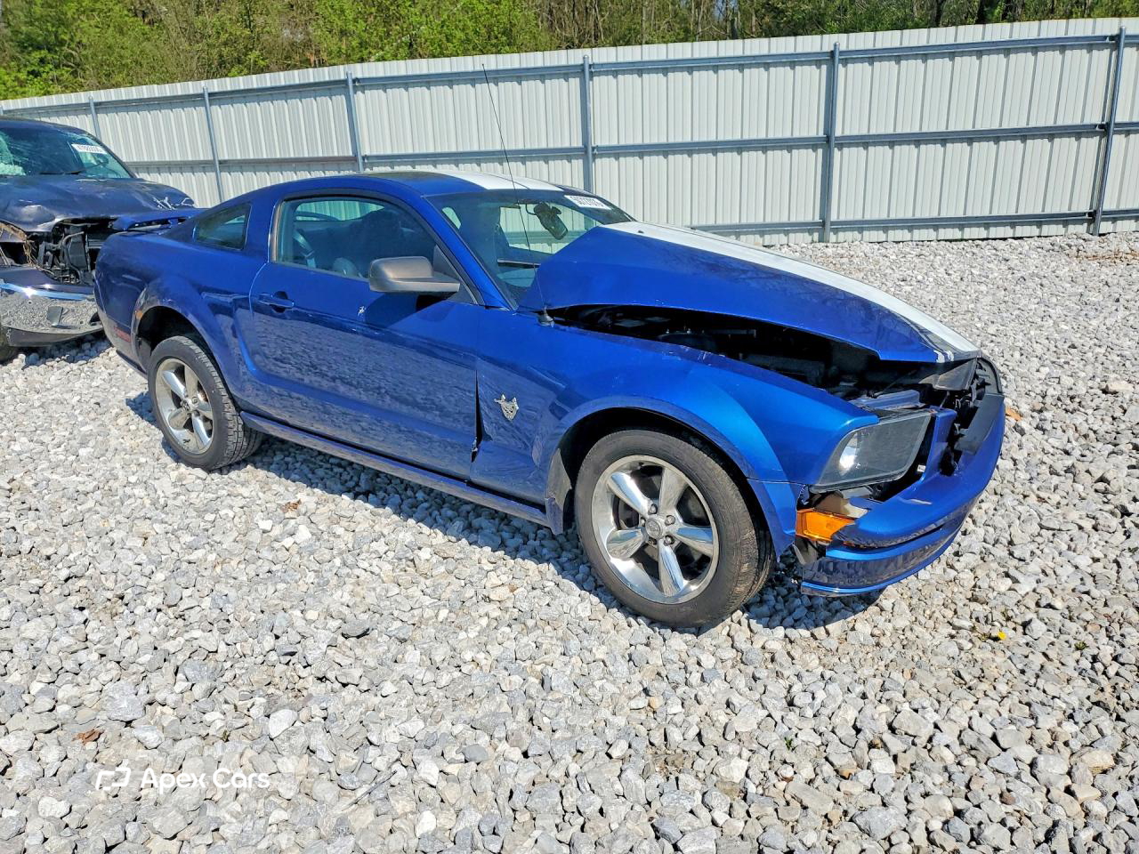 Ford Mustang 2009