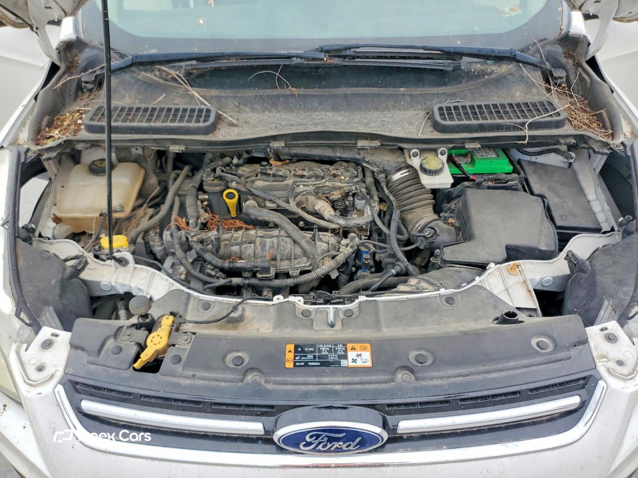 Ford Escape 2015