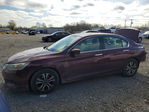 Honda Accord 2013
