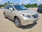 Lexus RX 2015
