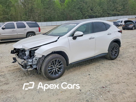 Lexus NX 2025 - Image 1 of 14