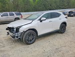 Lexus NX 2025