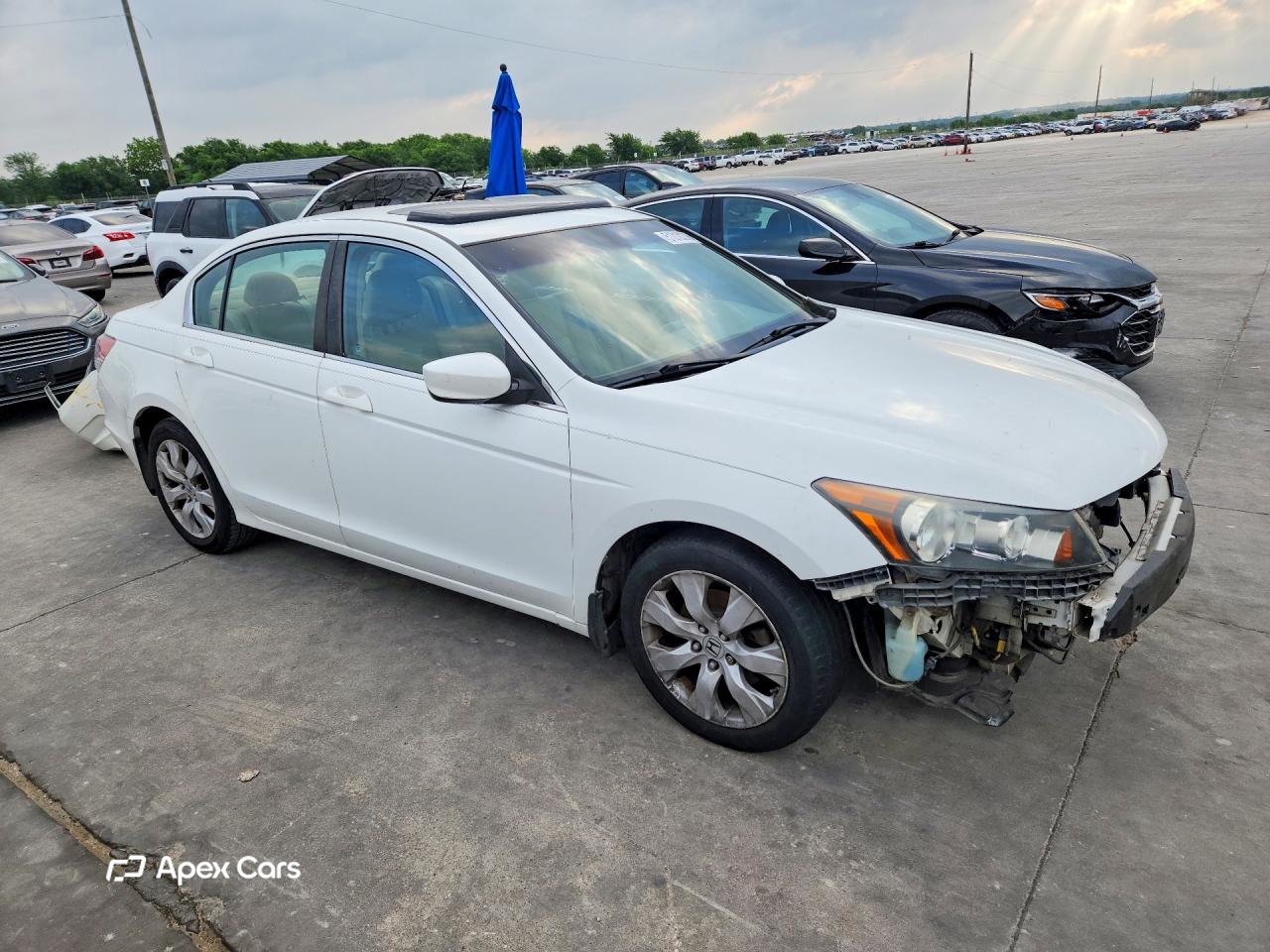 Honda Accord 2010