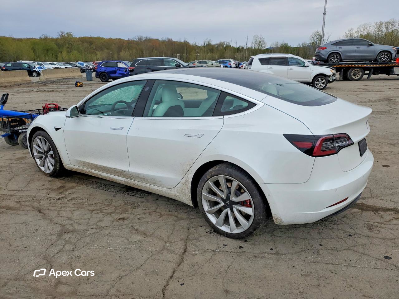 Tesla Model 3 2019