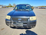 Ford Escape 2002