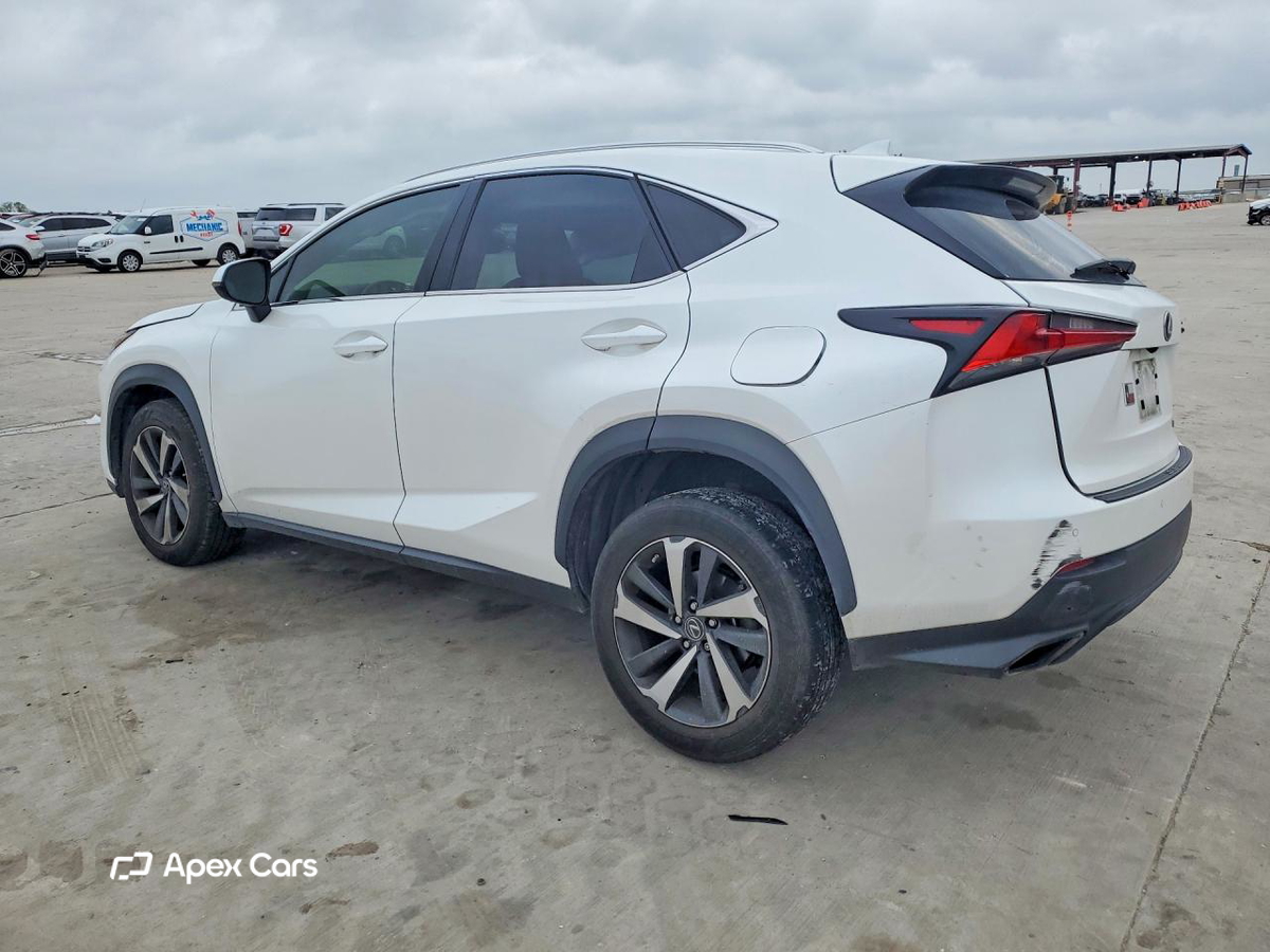 Lexus NX 2019