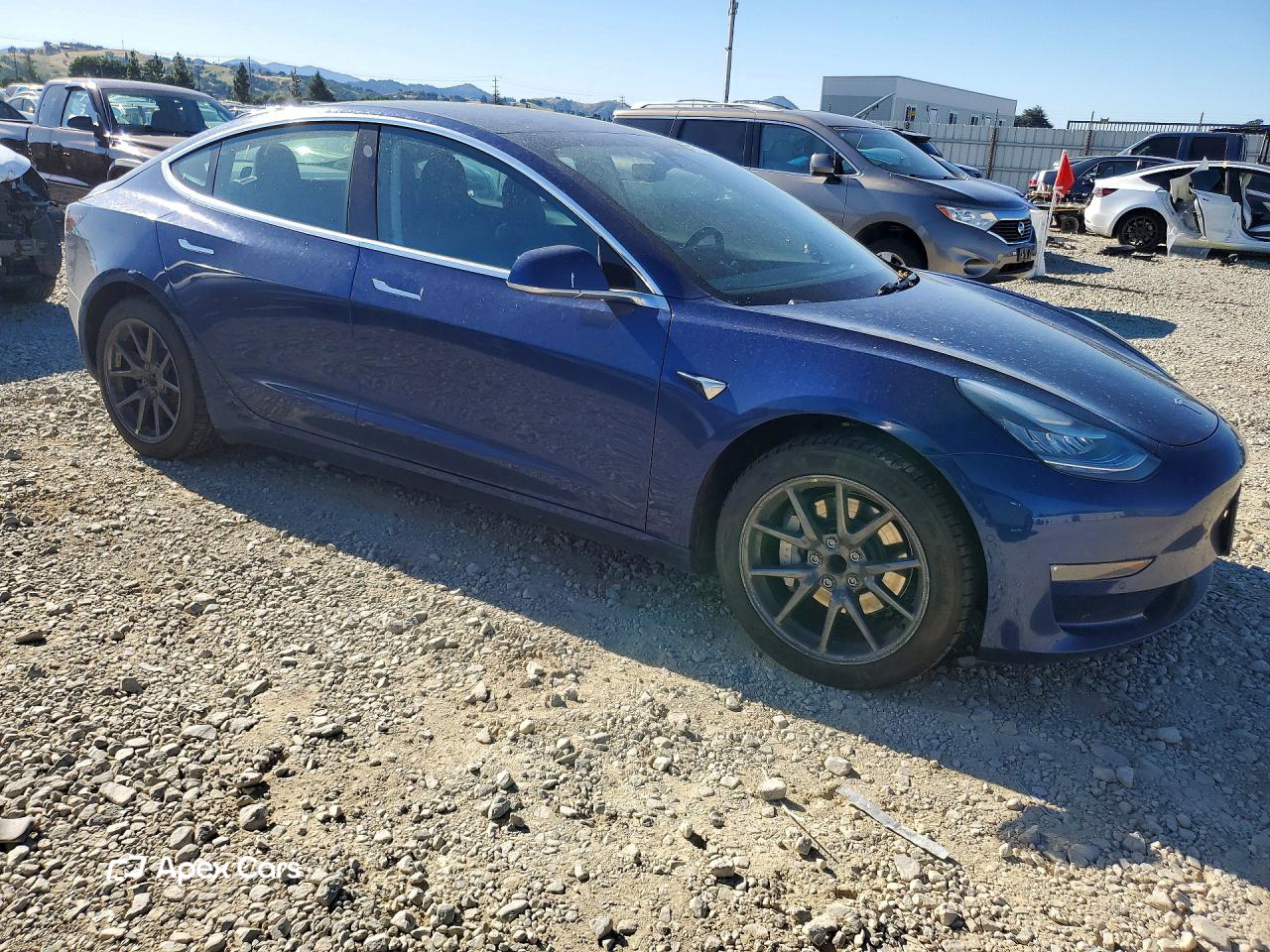 Tesla Model 3 2019