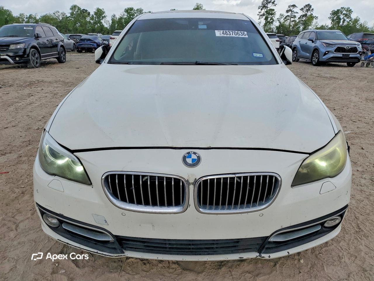 BMW Series 5 2014