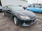 Lexus ES 2013