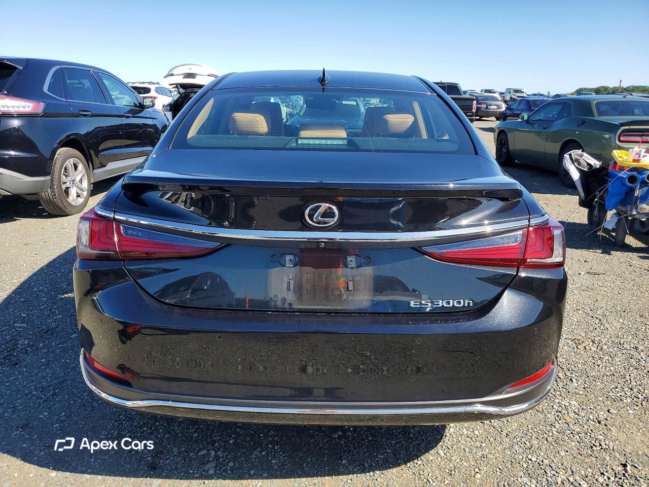 Lexus ES 2024