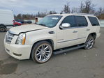 Cadillac Escalade 2011