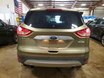 Ford Escape 2013