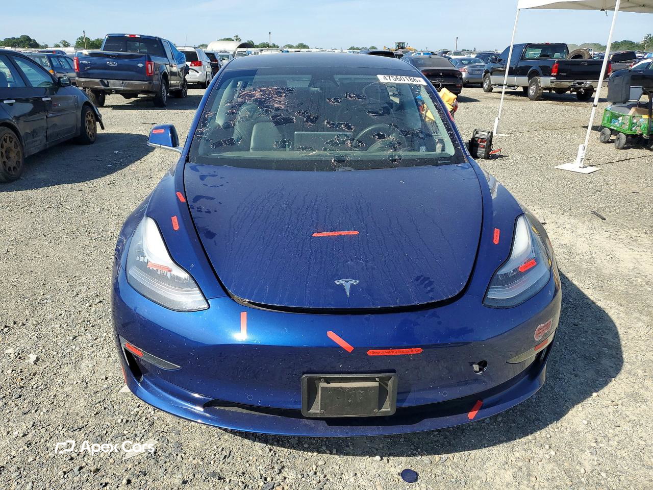 Tesla Model 3 2019
