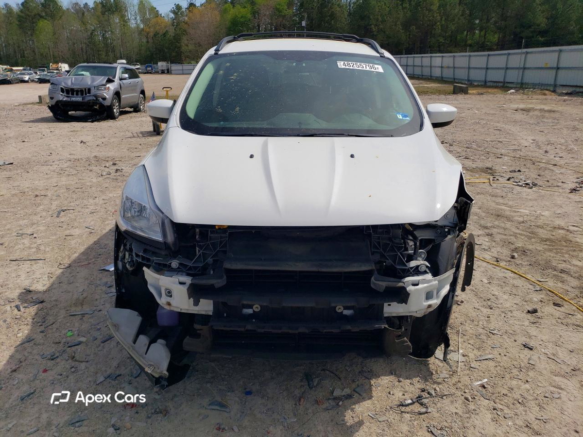 Ford Escape 2013
