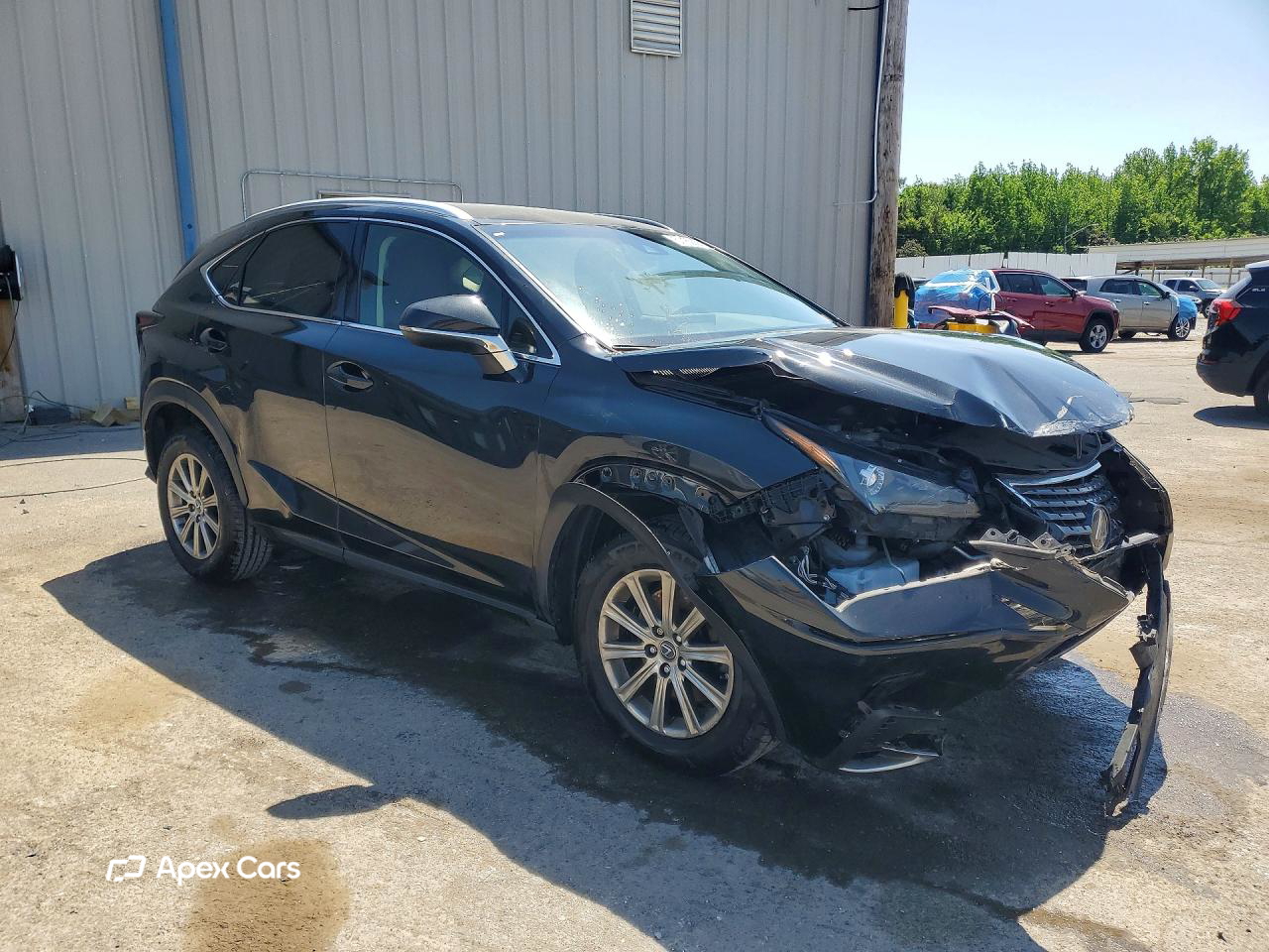 Lexus NX 2018