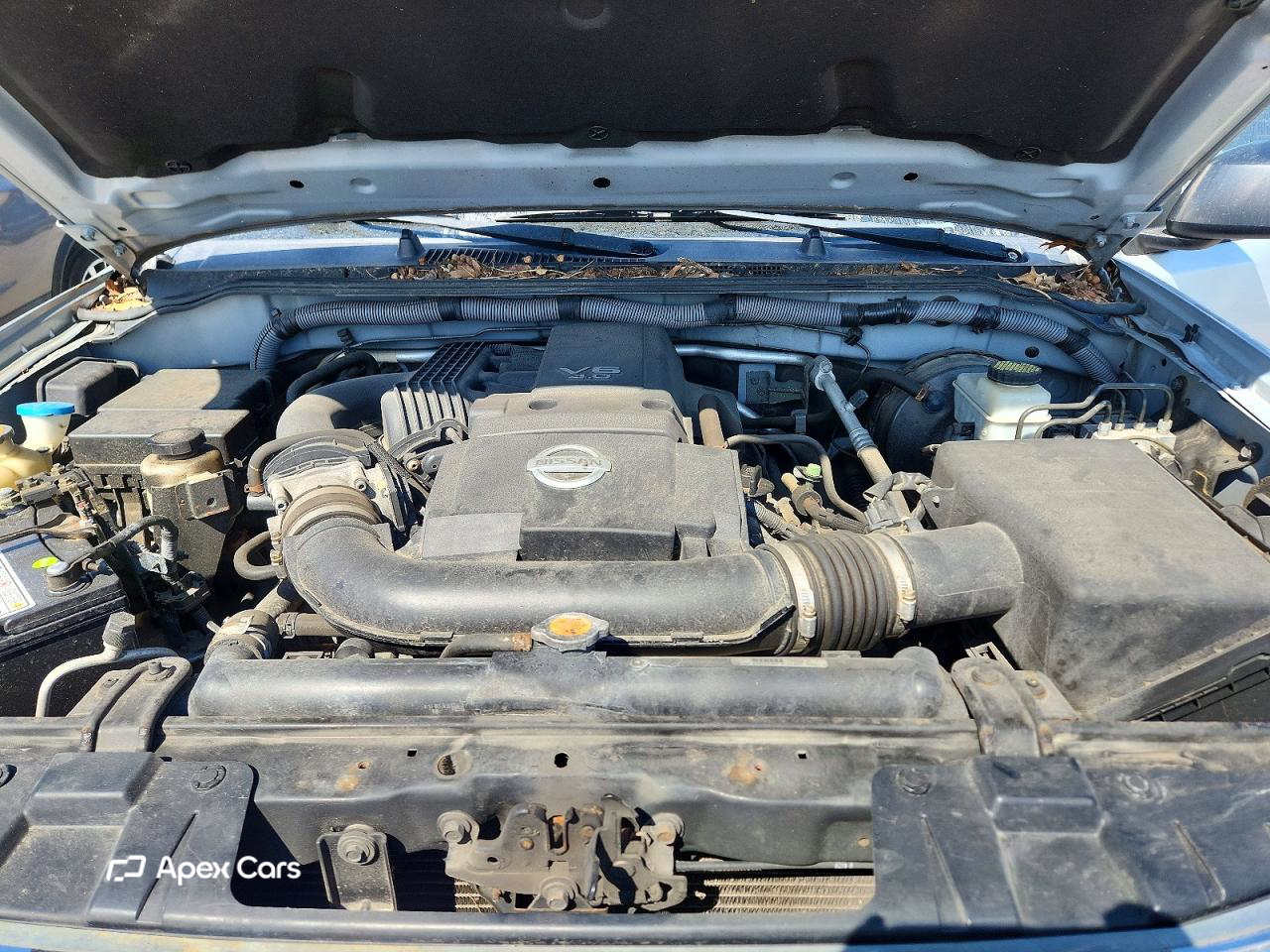 Nissan Navara (Frontier) 2010