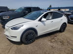 Tesla Model Y 2020