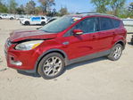 Ford Escape 2014