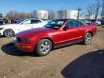 Ford Mustang 2005