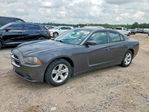 Dodge Charger 2013