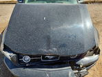 Ford Mustang 2007