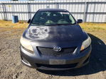 Toyota Corolla 2009
