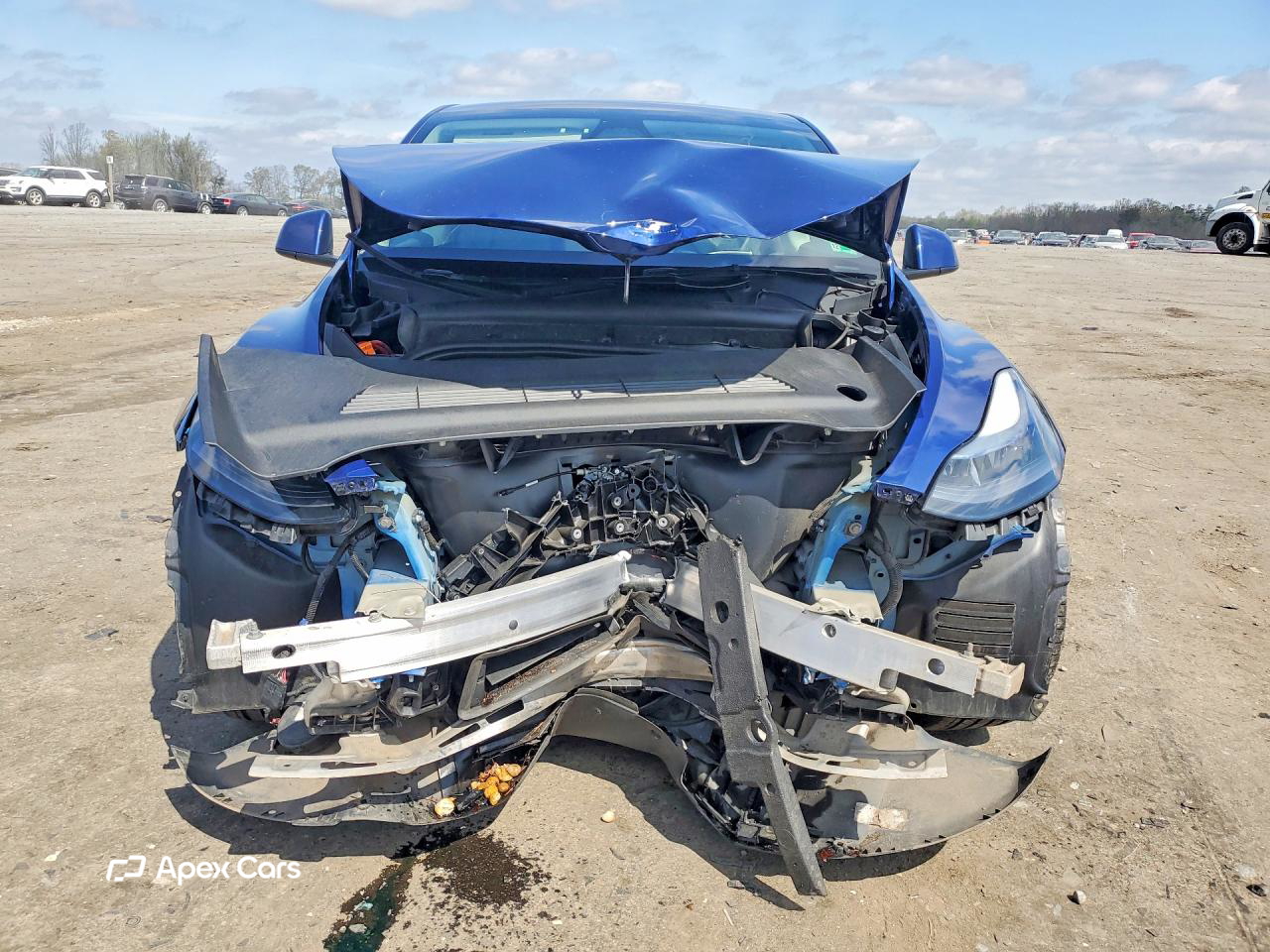 Tesla Model Y 2025