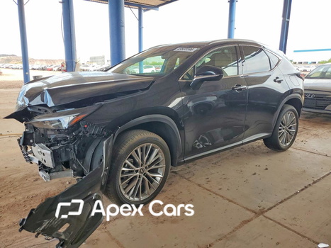 Lexus NX 2025 - Zdjęcie 1 z 14
