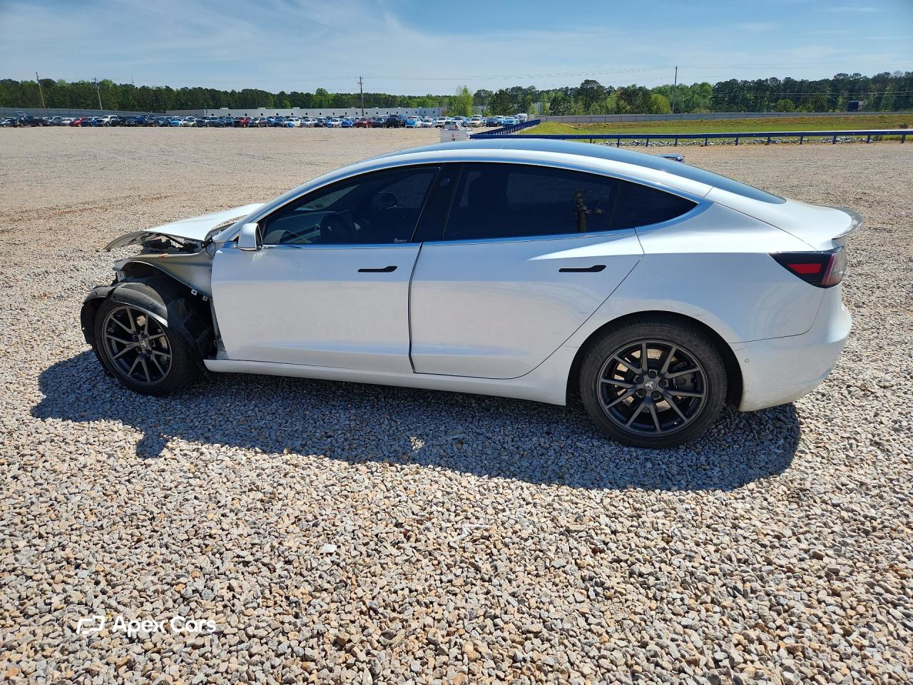 Tesla Model 3 2019