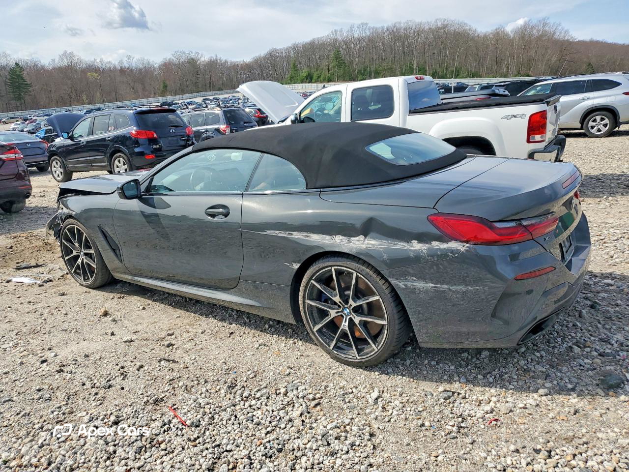 BMW M8 2019
