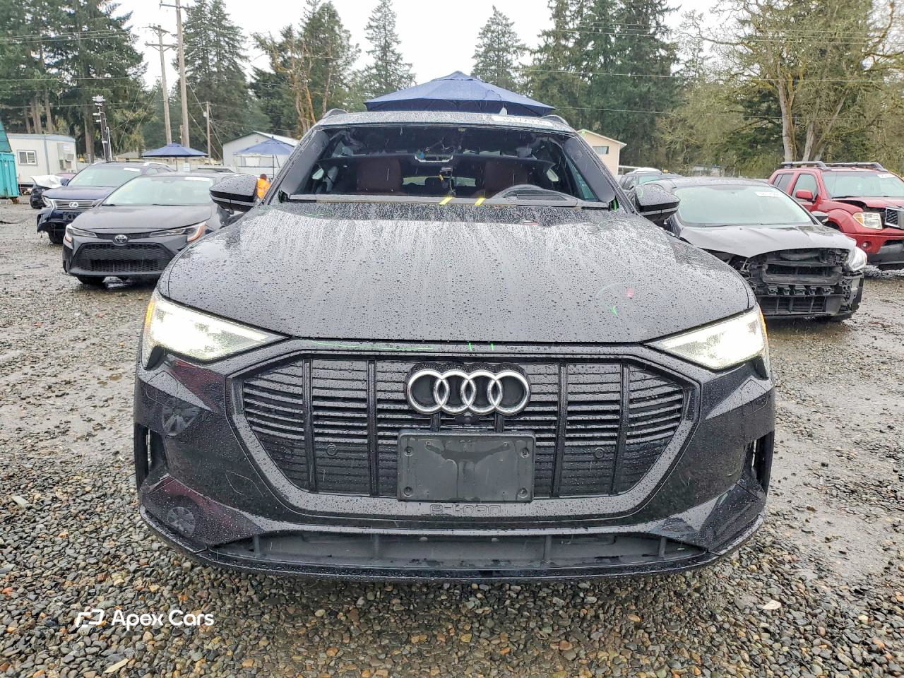 Audi e-tron 2021