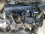 Kia Sorento 2014