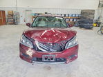 Honda Accord 2013