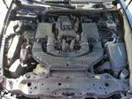 Lexus LS 2008