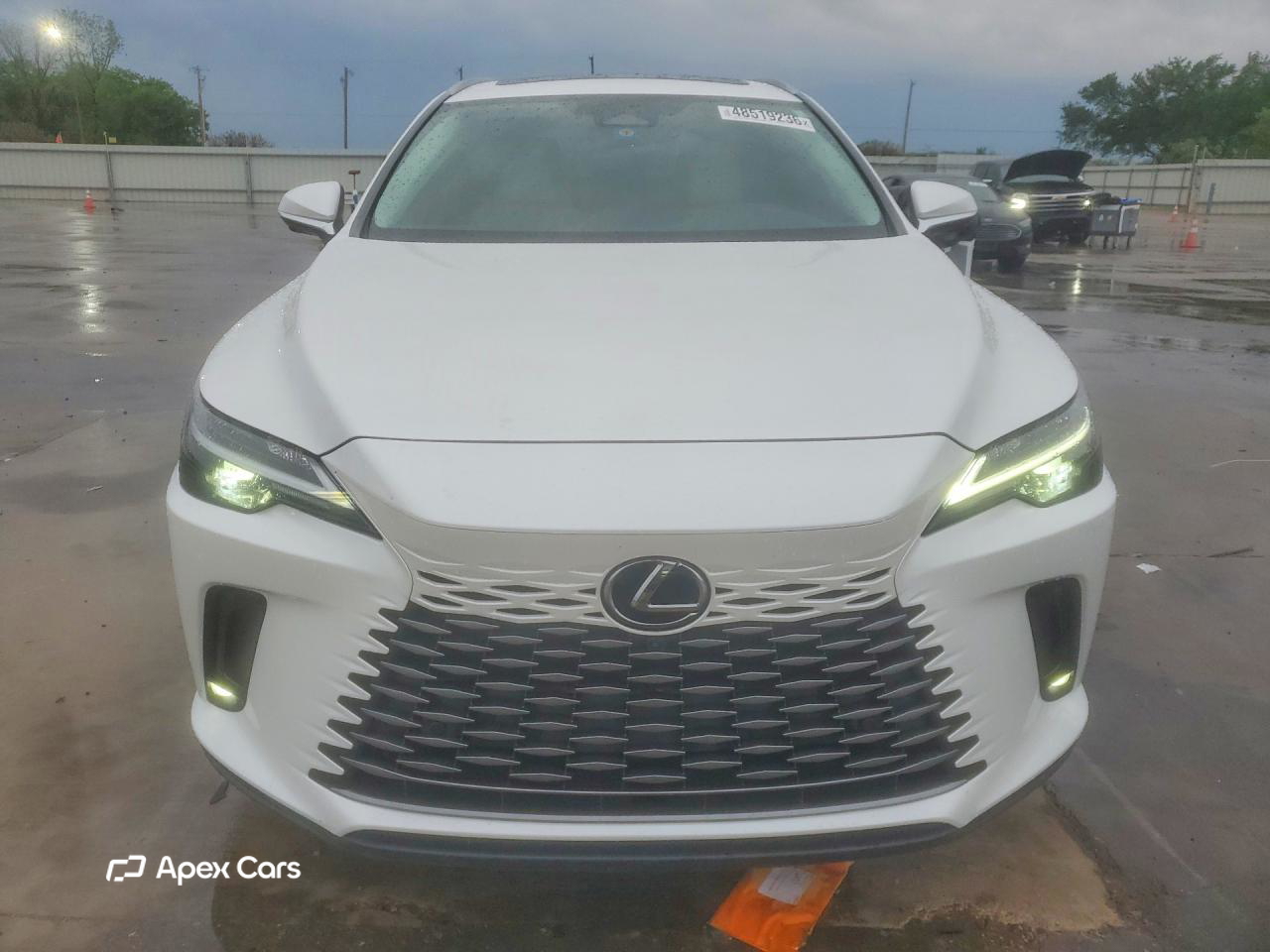 Lexus RX 2024