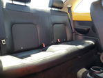 Volkswagen Beetle 2009