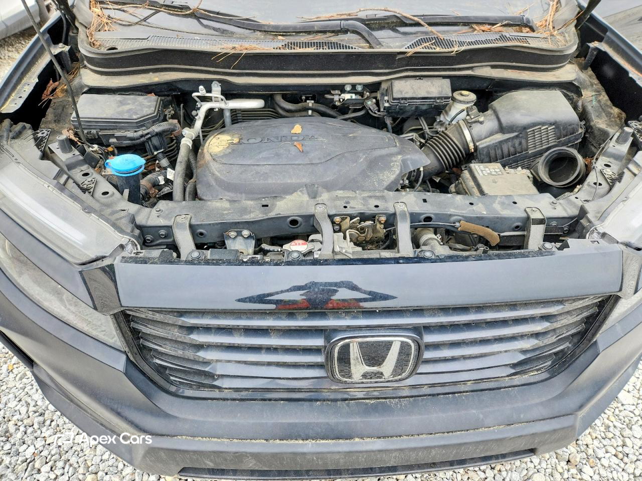 Honda Ridgeline 2021