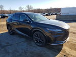 Lexus RX 2024