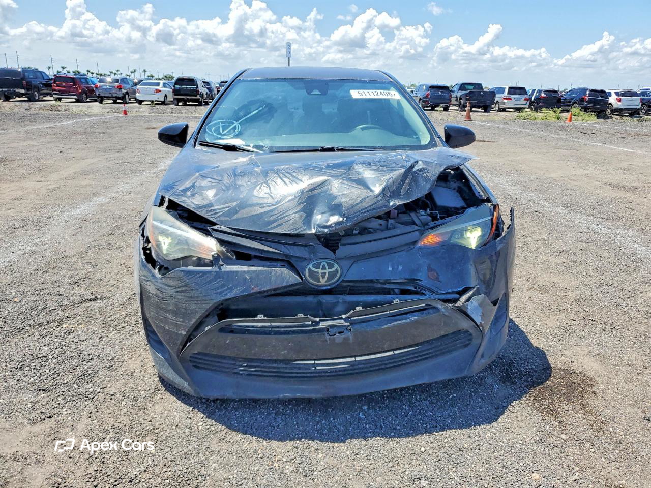 Toyota Corolla 2019