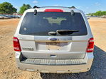 Ford Escape 2011