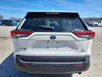 Toyota RAV 4 2019