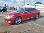 Lexus ES 2010