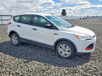 Ford Escape 2013