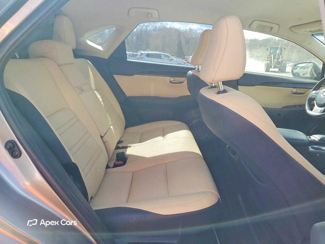 Lexus NX 2019