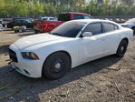 Dodge Charger 2014