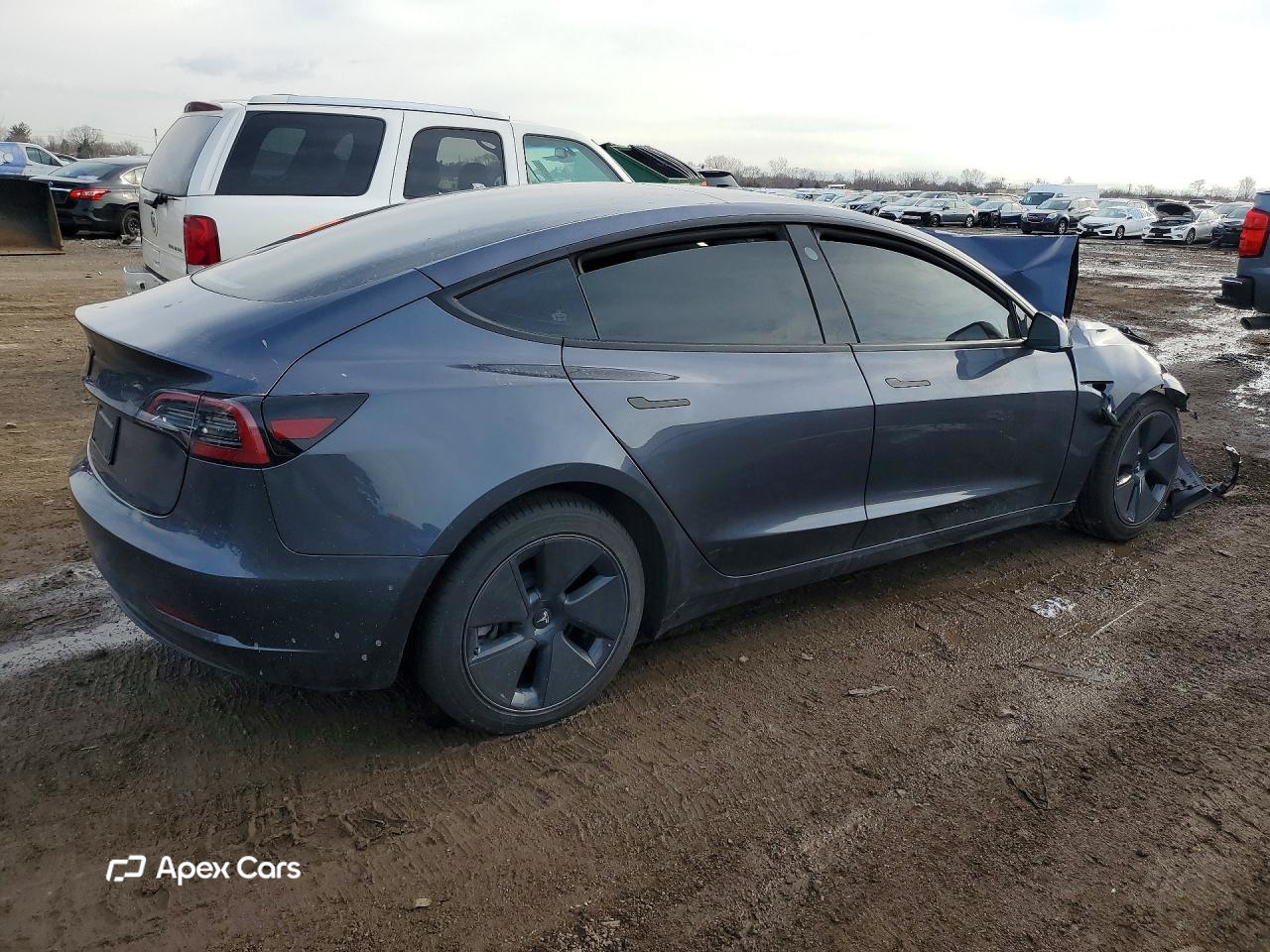 Tesla Model 3 2023