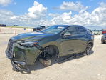 Lexus NX 2024