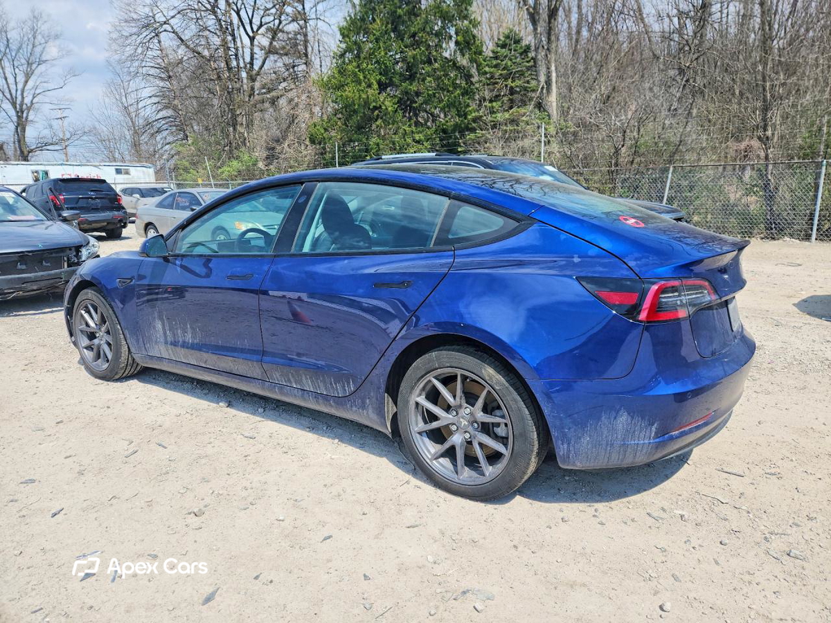 Tesla Model 3 2021